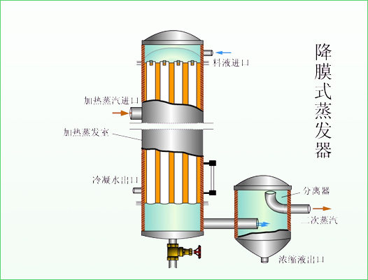 1597110391131126.jpg 1.jpg